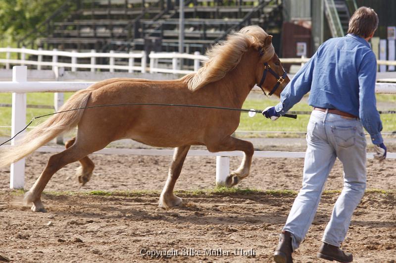 Hryssa von Heidmoor (10).JPG